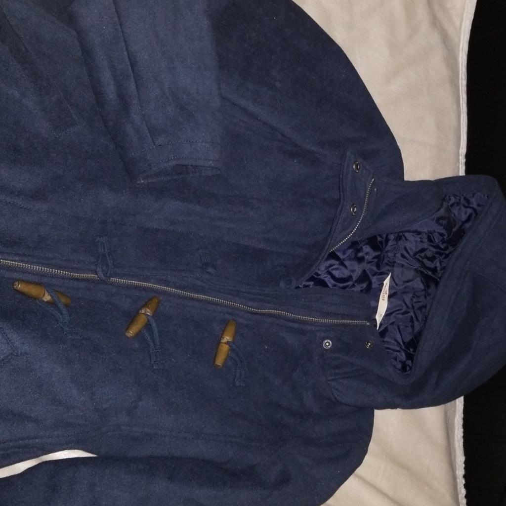 Hollister Coat